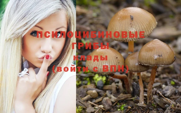 mix Гусиноозёрск